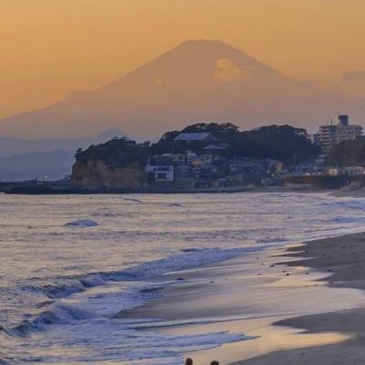 酒价内参3月25日价格发布 青花汾20环比保持不变